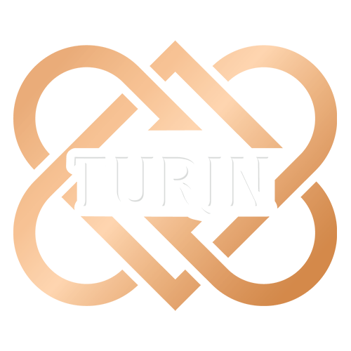 turin.campusvirtual.training